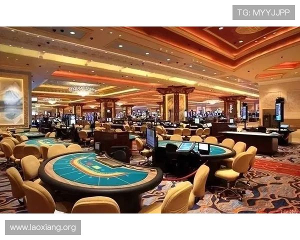 澳门十大赌场排名权威榜单，揭示最受游客喜爱的博彩娱乐场所推荐